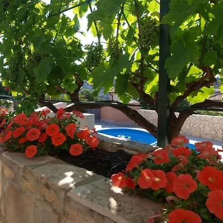 In Holiday House Neda *